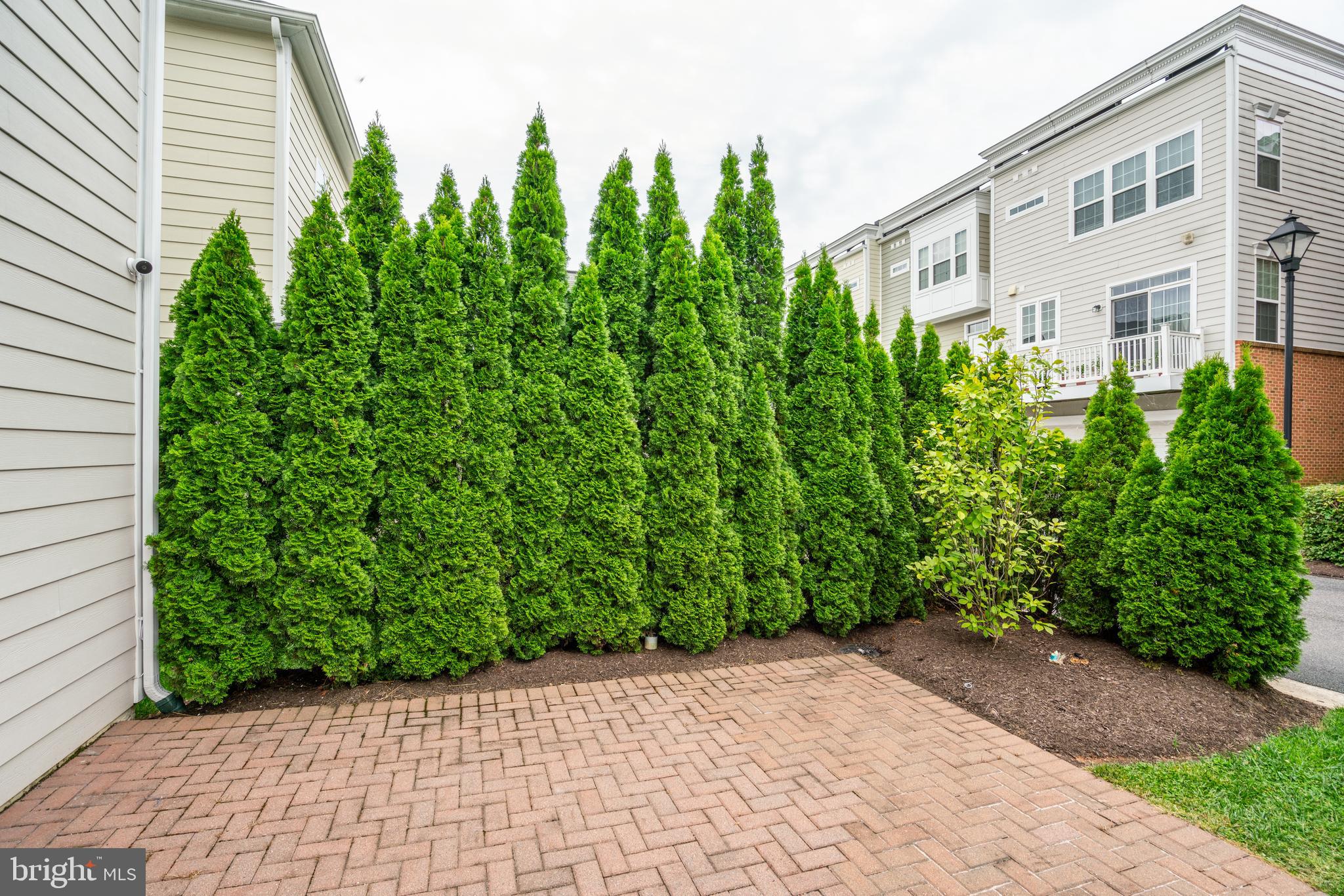 11516 Amherst Avenue Silver Spring, MD 20902 - Photo 38 of 38 Beautiful landscaped patio