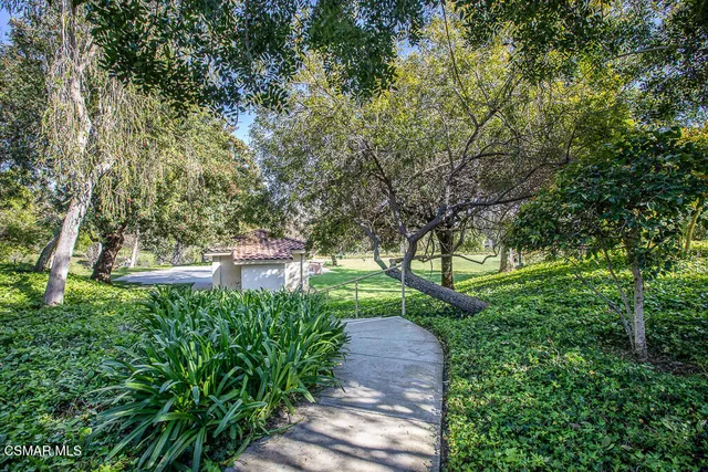 a view of a yard with plants and trees