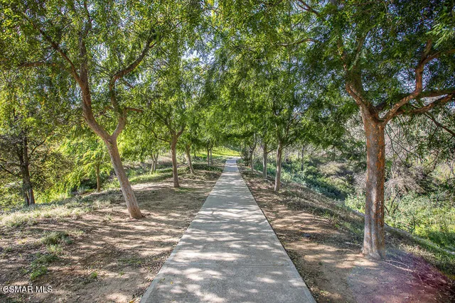 a view of a yard with a tree