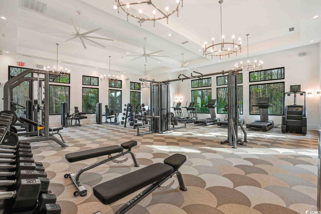 331 Pickwick Drive, Unit A2 Myrtle Beach, SC 29588 - Photo 9 of 39 Workout area with a wealth of natural light, a towering ceiling, and ceiling fan