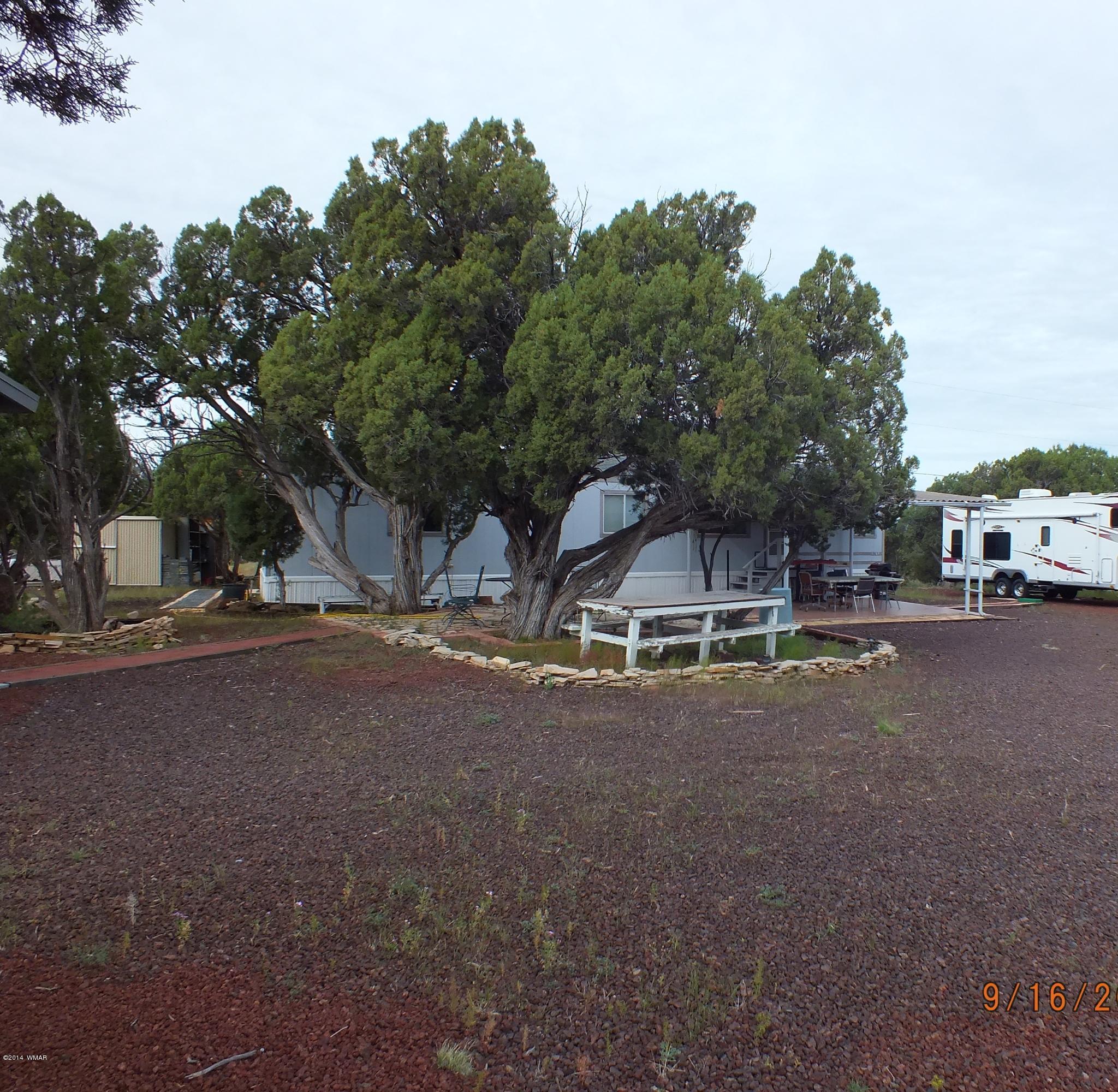 1817 Pronghorn Road Show Low, AZ 85901 - Photo 11 of 37 Gallery Image 11