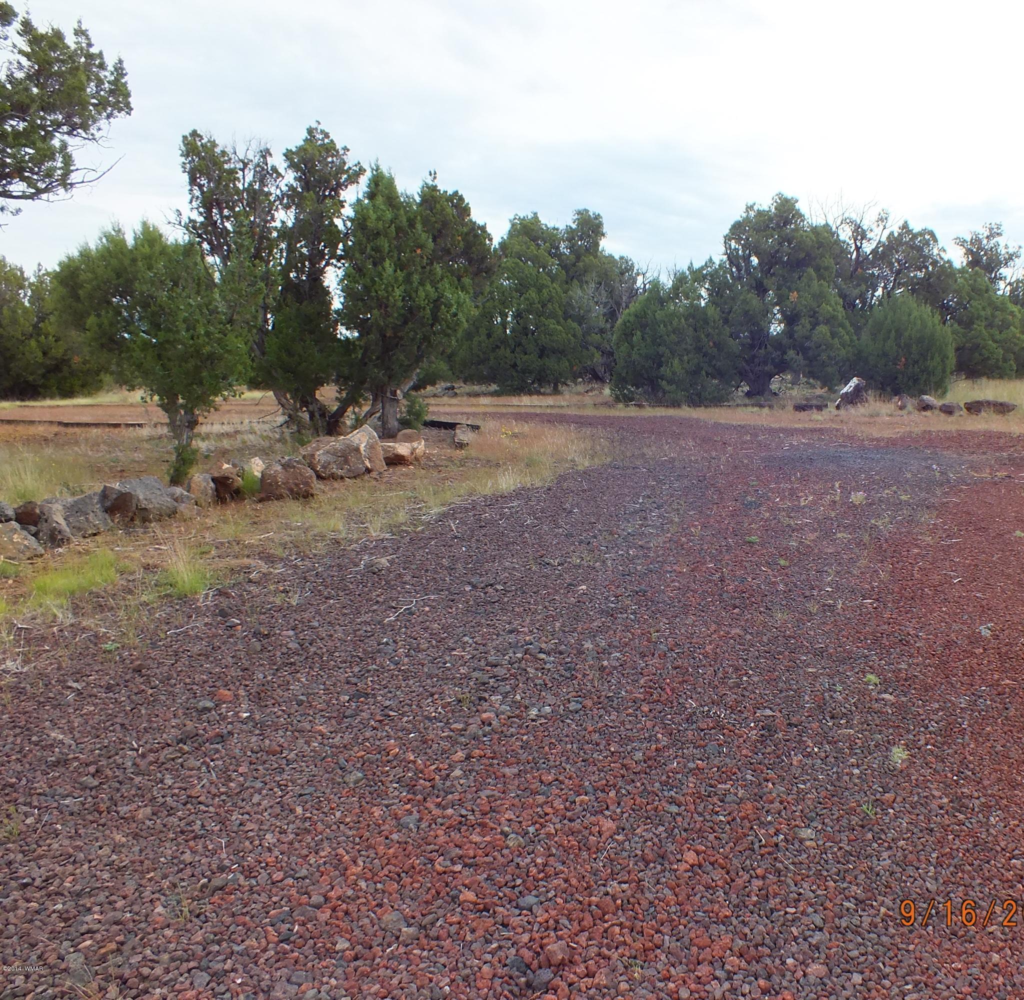 1817 Pronghorn Road Show Low, AZ 85901 - Photo 12 of 37 Gallery Image 12
