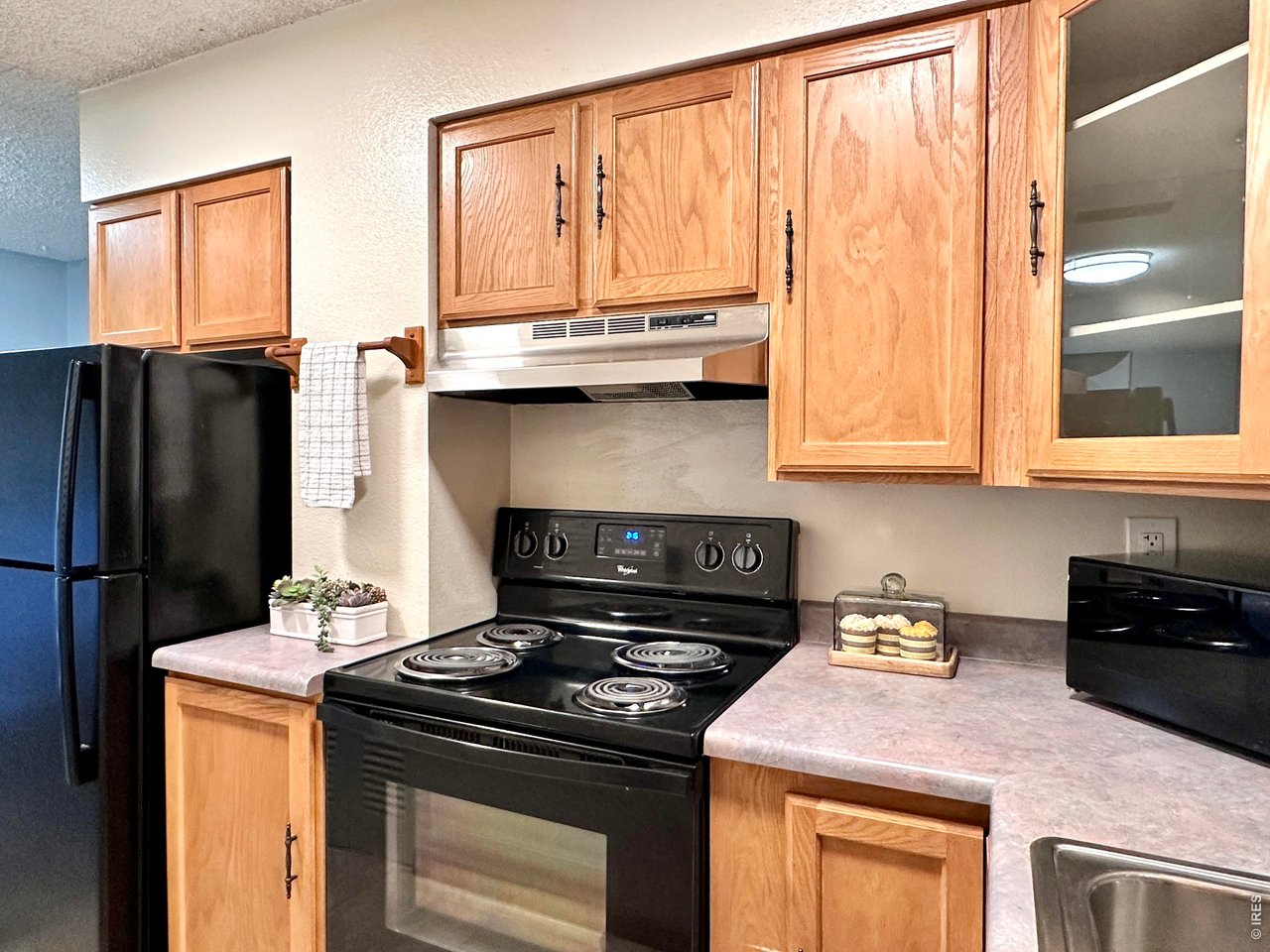 1705 Heatheridge Road, Unit 205 Fort Collins, CO 80526 - Photo 6 of 17 Refrigerator and microwave are included