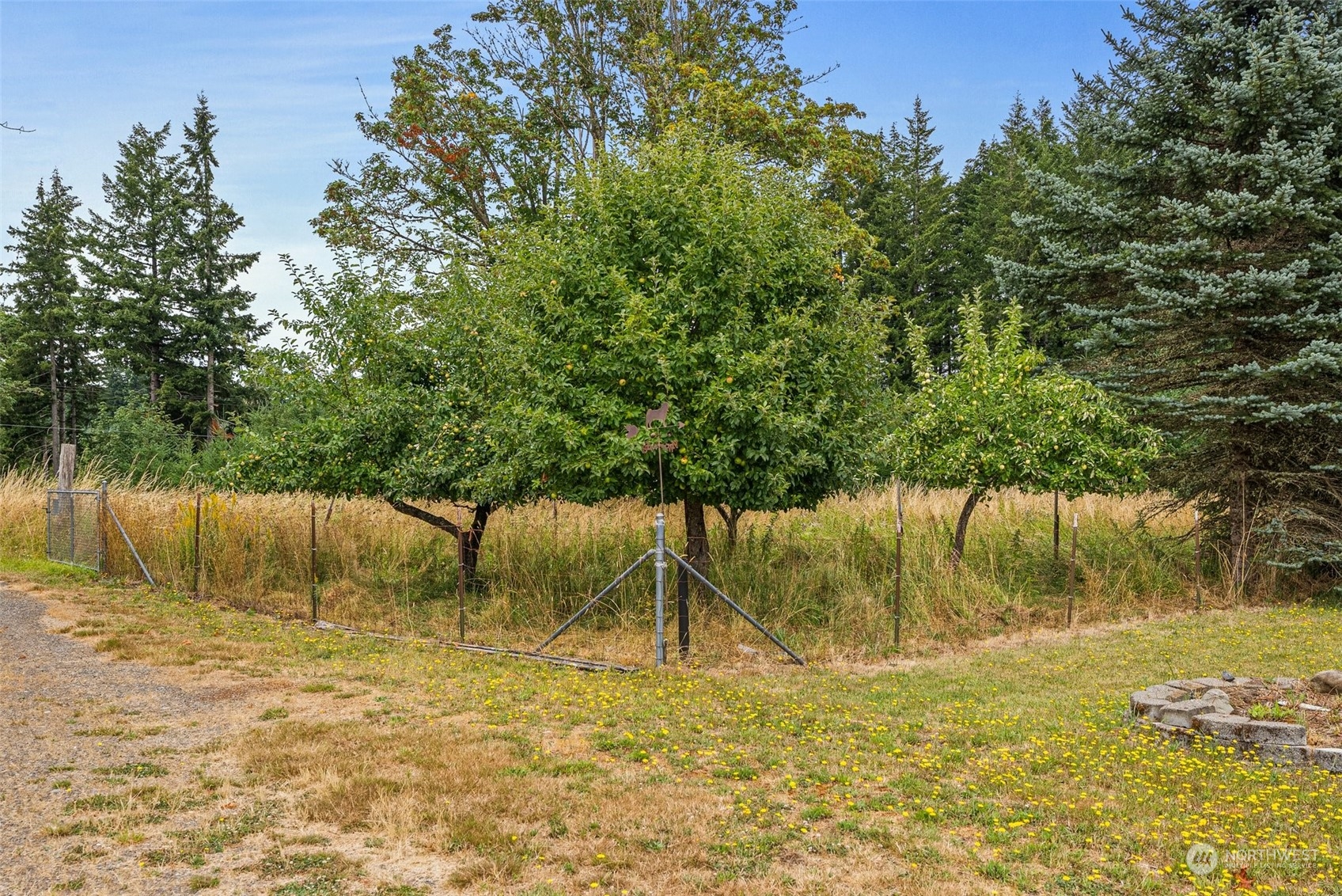 9321 Prather Road Southwest Centralia, WA 98531 - Photo 34 of 38 Gallery Image 34