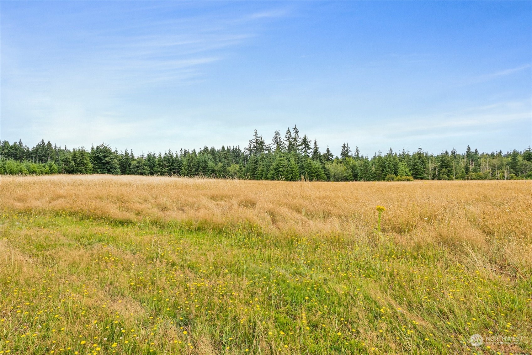 9321 Prather Road Southwest Centralia, WA 98531 - Photo 35 of 38 Gallery Image 35