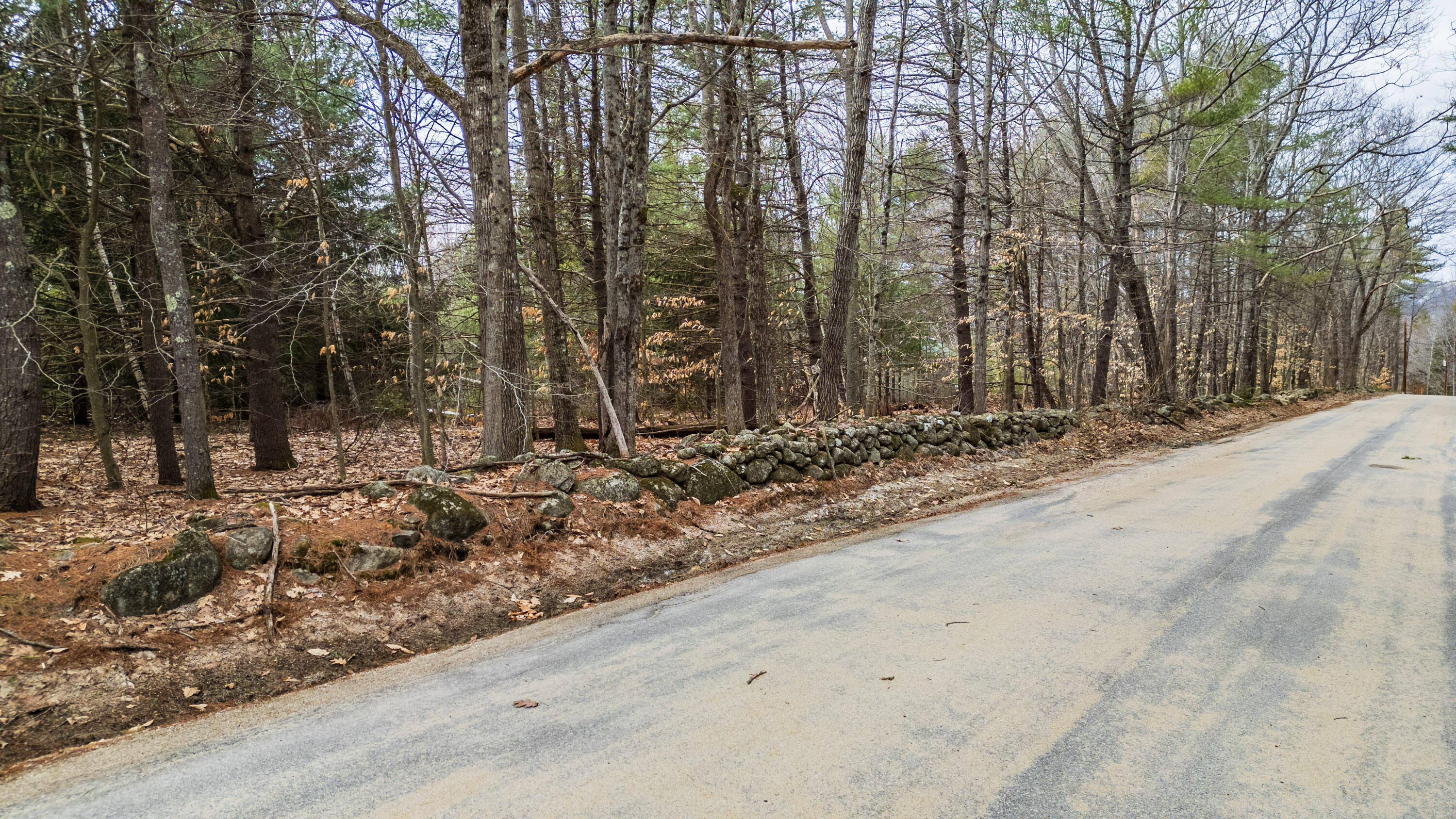 Lot 5 Dillon Road Harrison, ME 04040 - Photo 3 of 14 20260402gp-60019