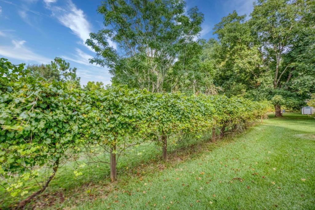 2067 Cleveland Road Bogart, GA 30622 - Photo 15 of 17 Gallery Image 15