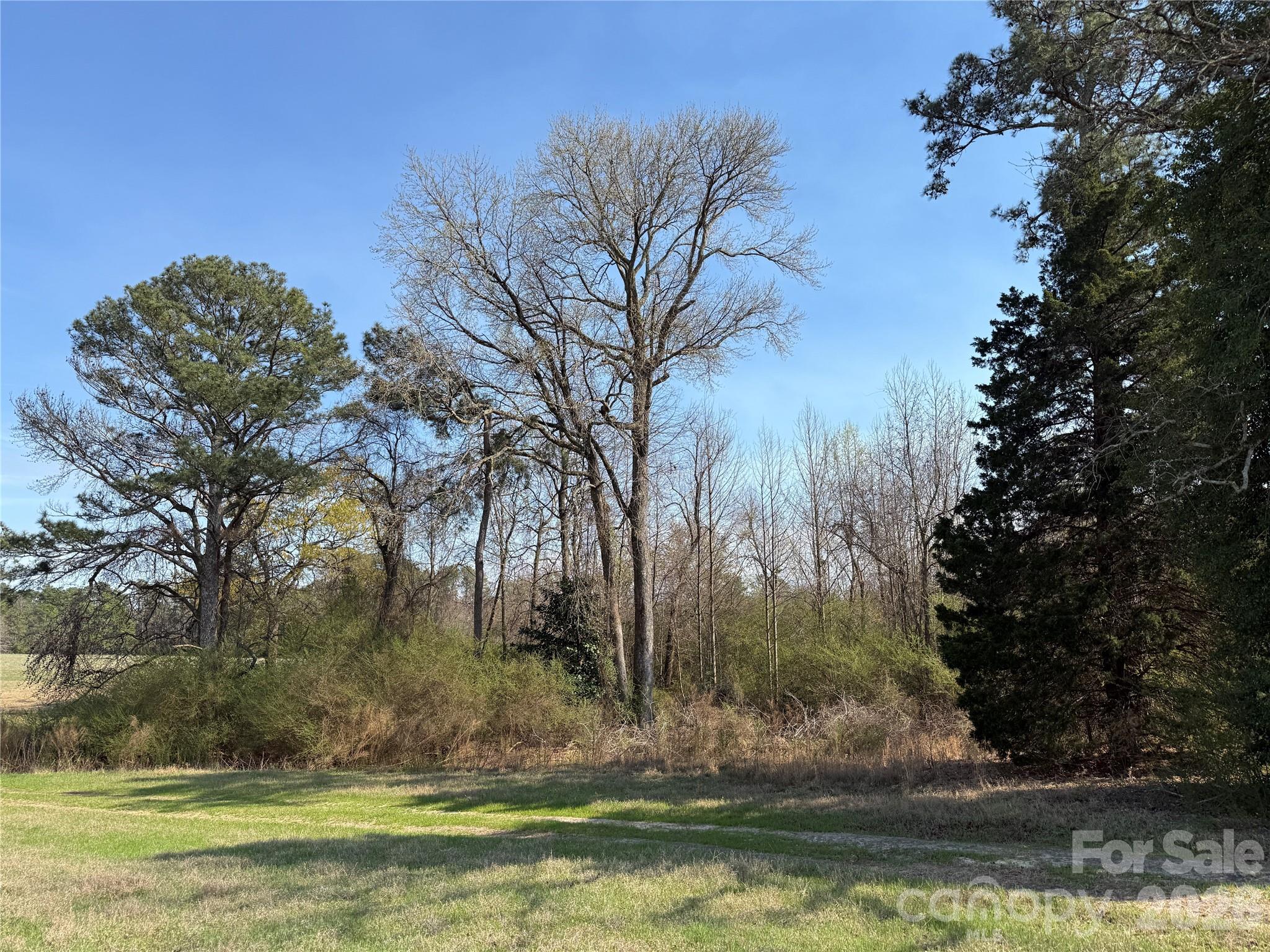 300 McCall Road Ellerbe, NC 28338 - Photo 11 of 30