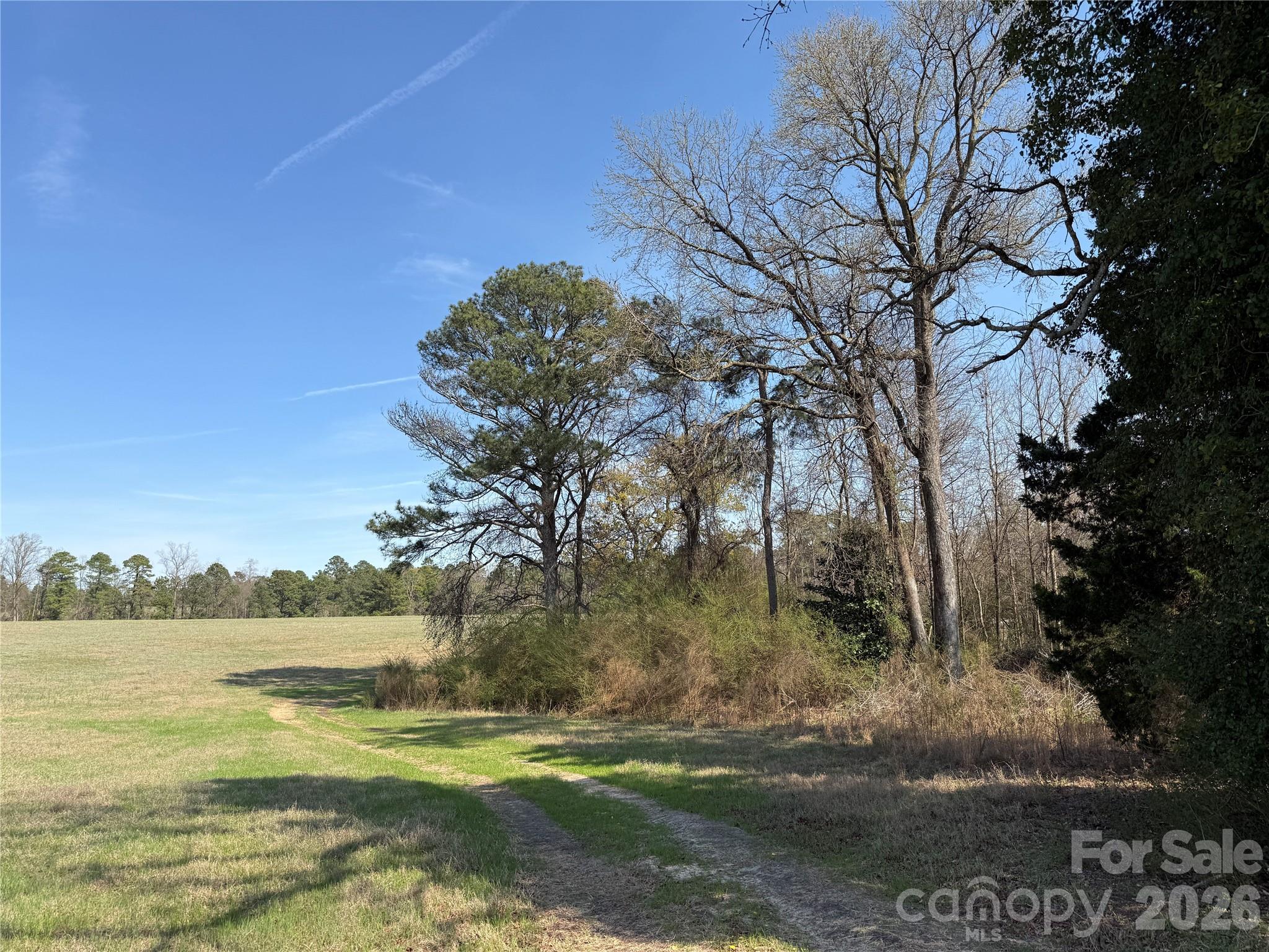 300 McCall Road Ellerbe, NC 28338 - Photo 12 of 30