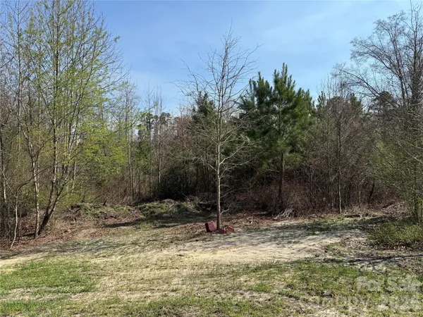 $599,000 | 300 McCall Road, Ellerbe, NC 28338