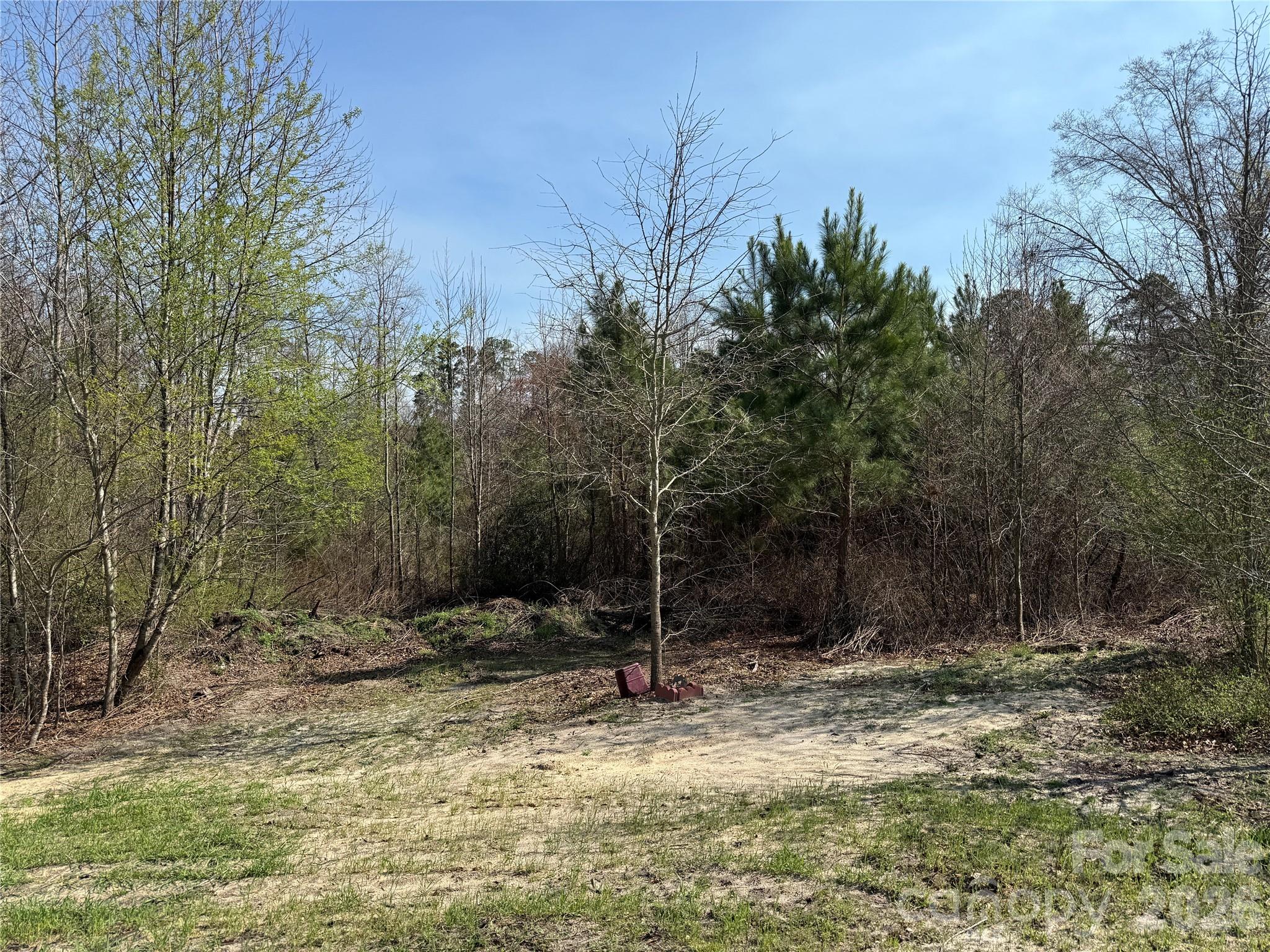 300 McCall Road Ellerbe, NC 28338 - Photo 16 of 30