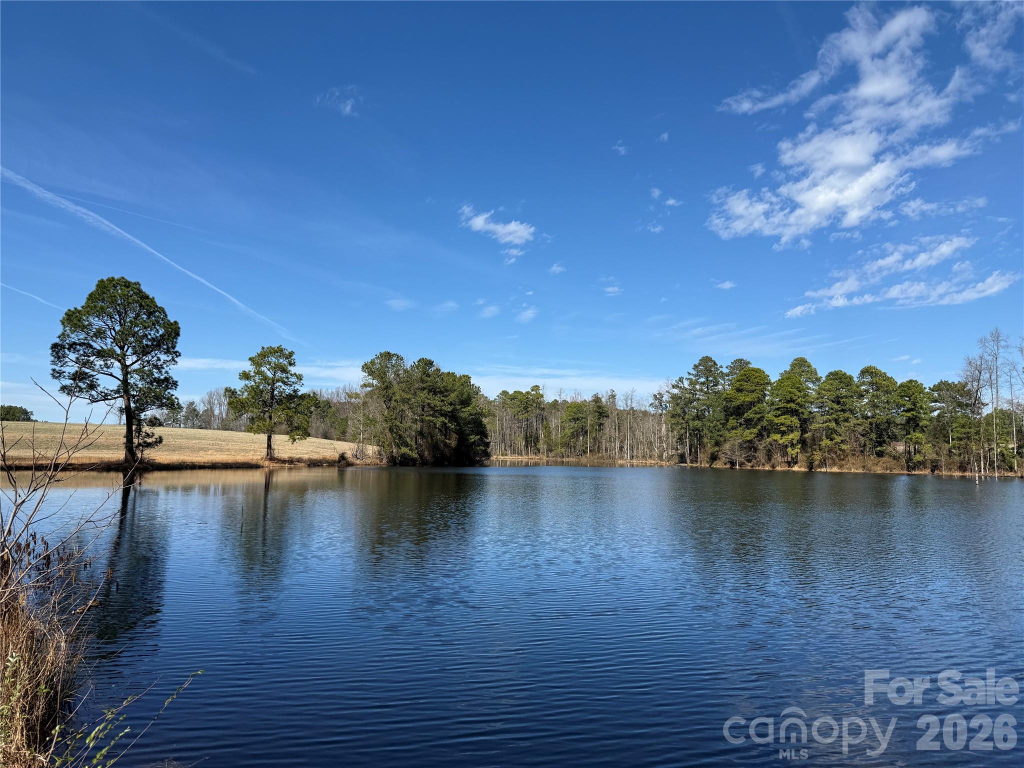 300 McCall Road Ellerbe, NC 28338 - Photo 2 of 30