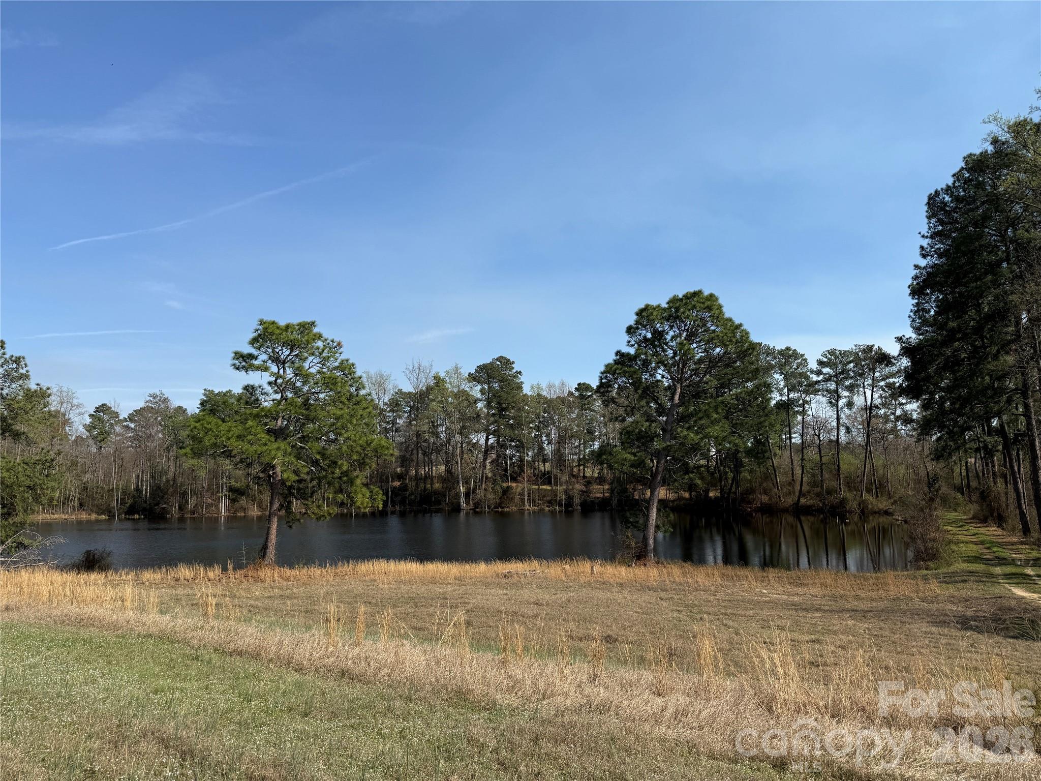 300 McCall Road Ellerbe, NC 28338 - Photo 21 of 30