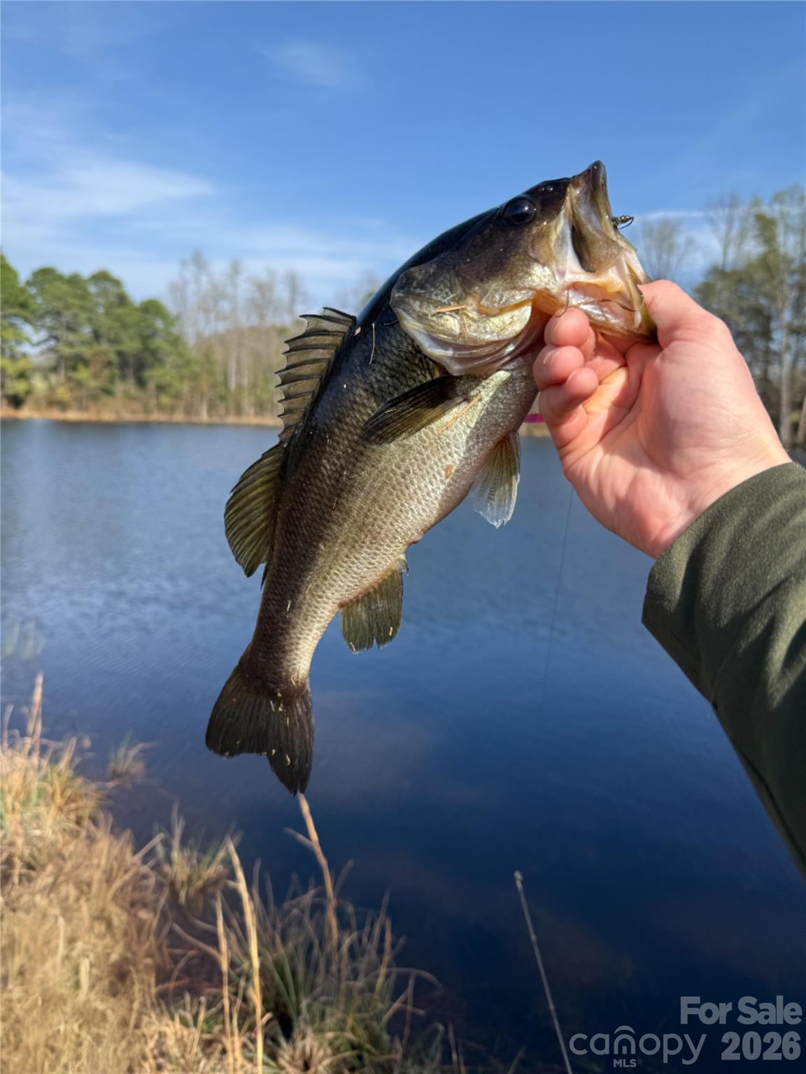 300 McCall Road Ellerbe, NC 28338 - Photo 22 of 30