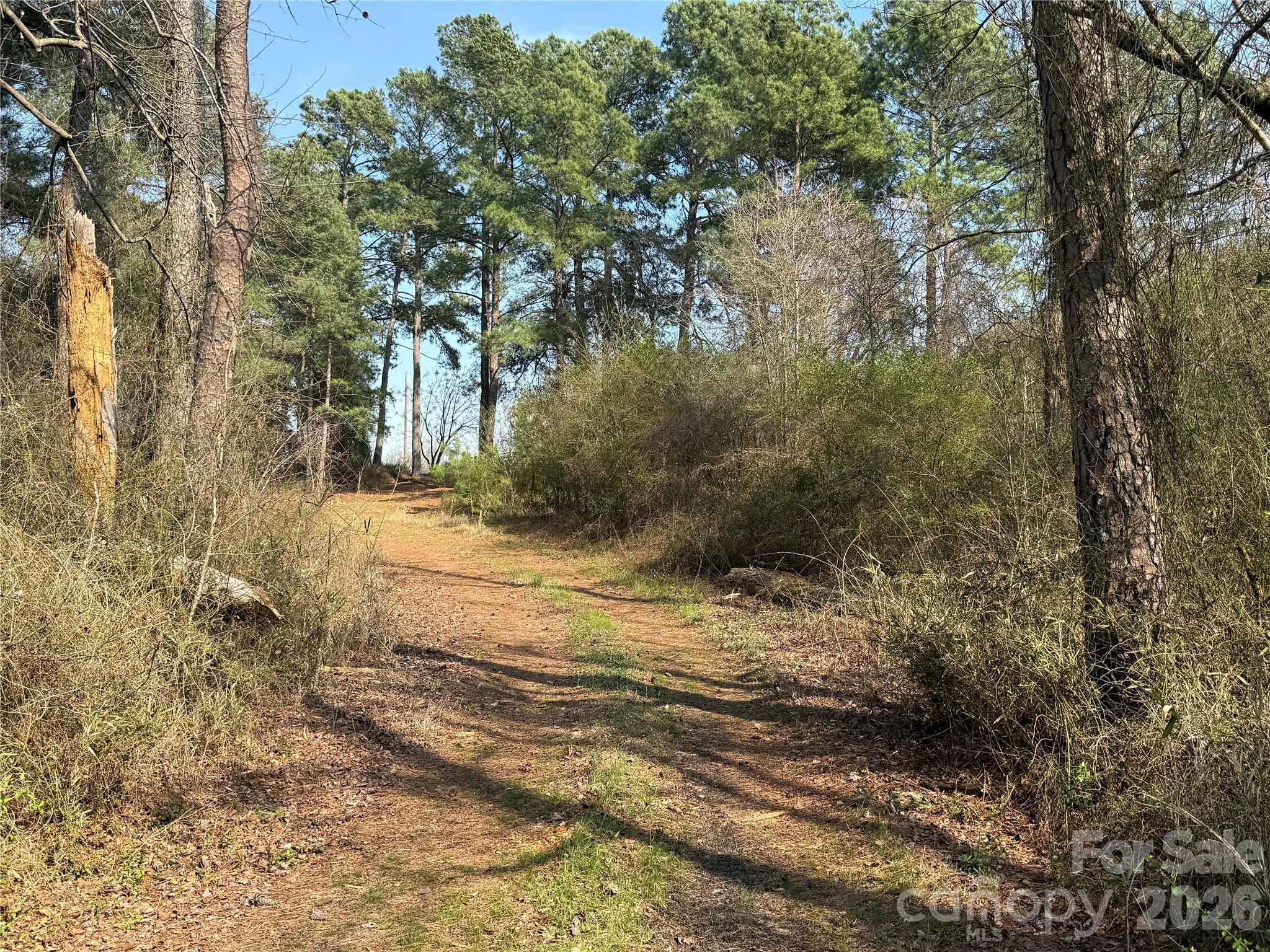 300 McCall Road Ellerbe, NC 28338 - Photo 24 of 30