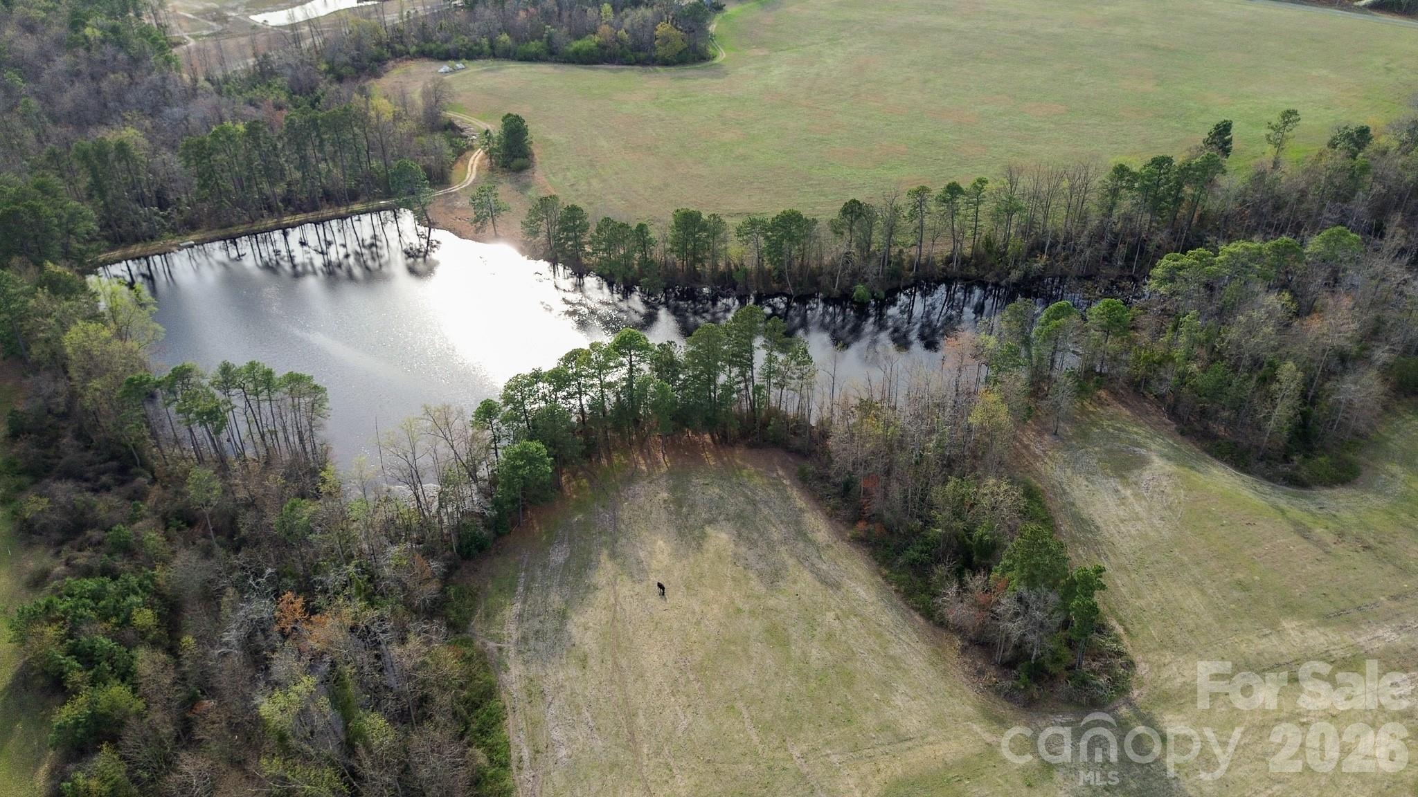 300 McCall Road Ellerbe, NC 28338 - Photo 25 of 30