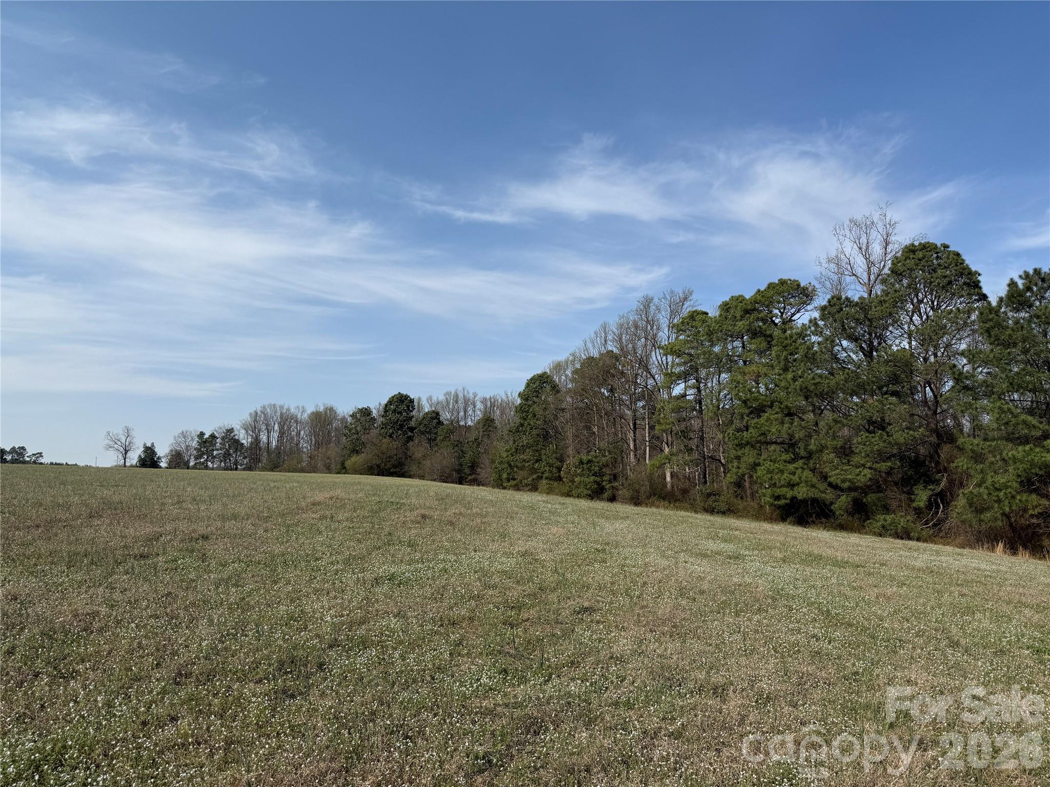 300 McCall Road Ellerbe, NC 28338 - Photo 28 of 30