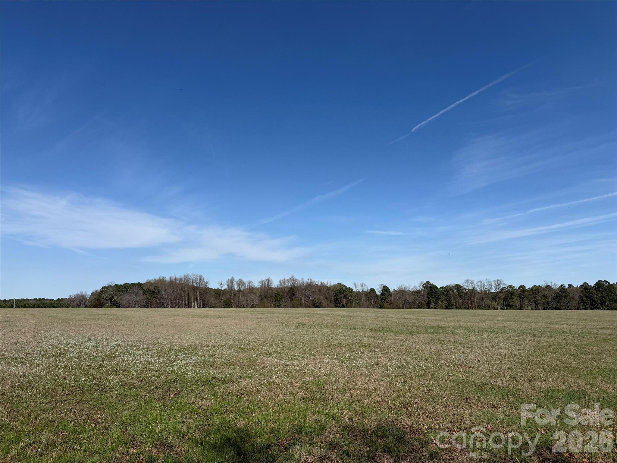 300 McCall Road Ellerbe, NC 28338 - Photo 7 of 30