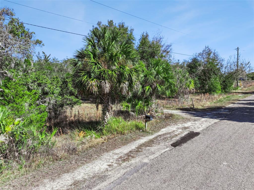 10065 Orchard Way Spring Hill, FL 34608 - Photo 4 of 6