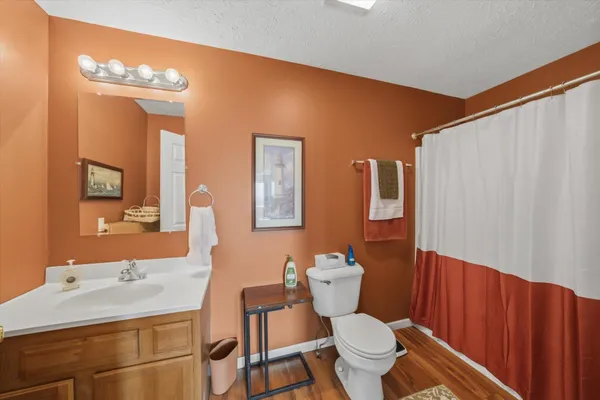 a bathroom with a sink a toilet a mirror and shower curtain