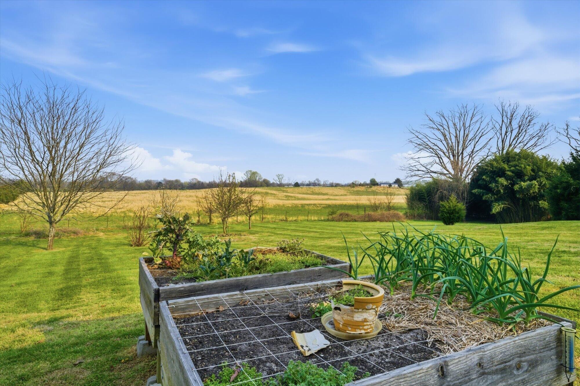 194 Carson Road Sweetwater, TN 37874 - Photo 26 of 40