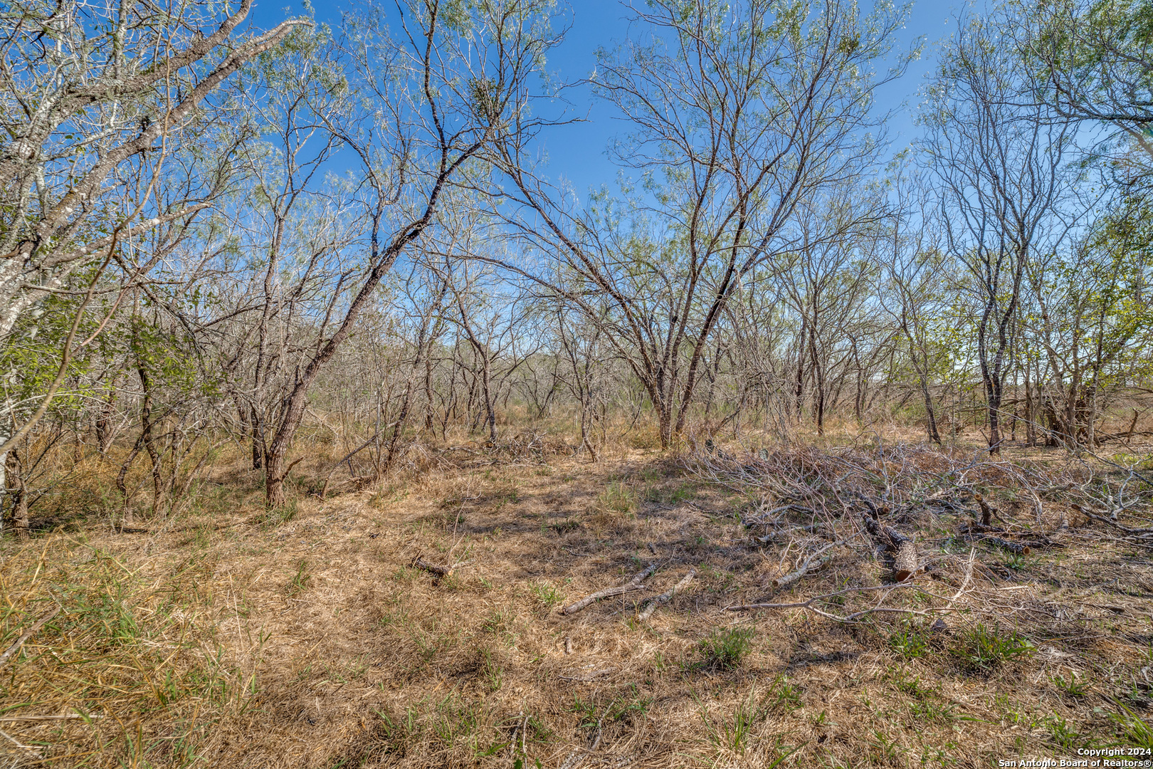 3292 Fm 1784 Pleasanton, TX 78064 - Photo 19 of 40