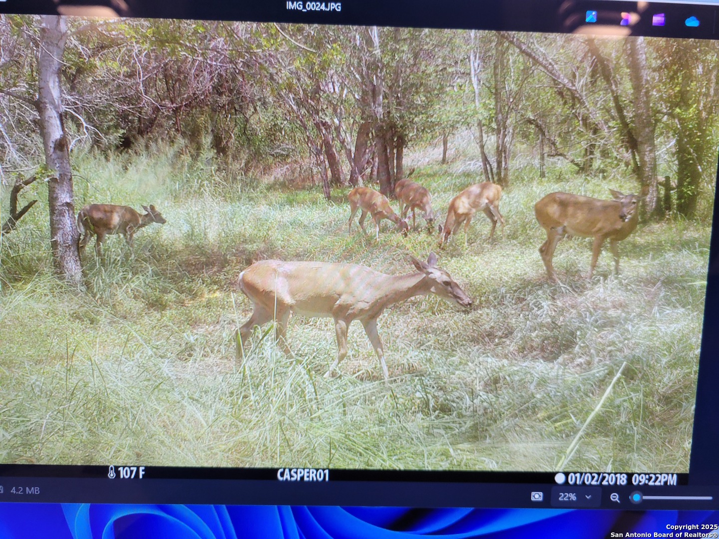 3292 Fm 1784 Pleasanton, TX 78064 - Photo 40 of 40