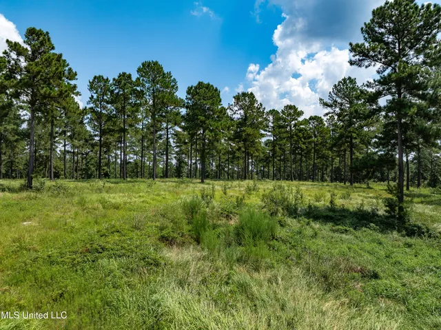 $234,500 | 0 Frontier Bend, Hattiesburg, MS 39402