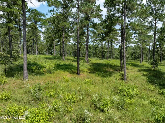 $234,500 | 0 Frontier Bend, Hattiesburg, MS 39402