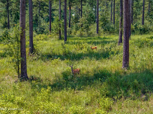 $234,500 | 0 Frontier Bend, Hattiesburg, MS 39402