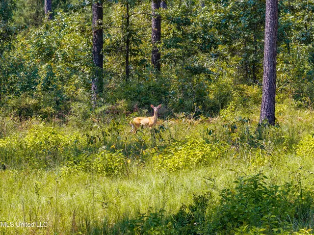 $234,500 | 0 Frontier Bend, Hattiesburg, MS 39402