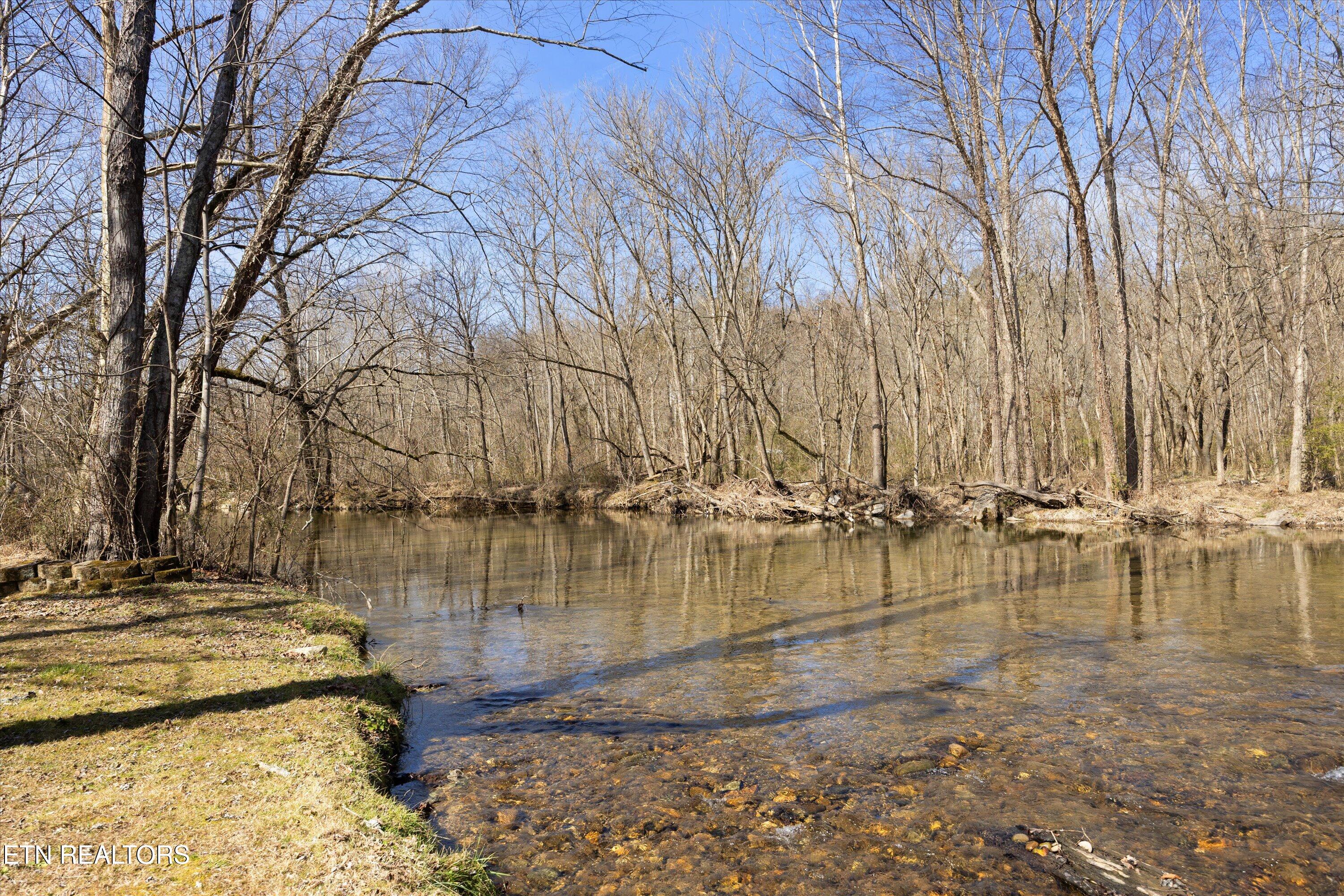 187 Wilton Springs Road Newport, TN 37821 - Photo 54 of 59 51-RS9_6812 V2