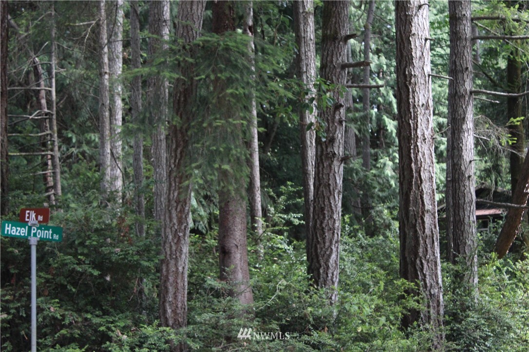 0 Hazel Point Road Quilcene, WA 98376 - Photo 1 of 1 Gallery Image 1