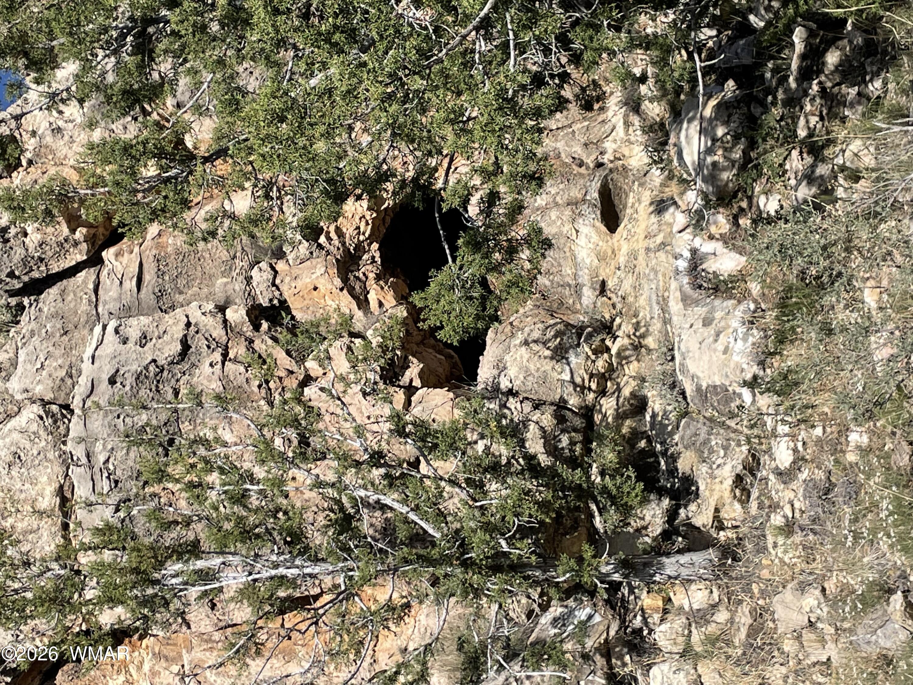 785 Twin Tanks Road Heber, AZ 85928 - Photo 29 of 39