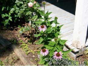 85 Murphy Hill Road Weaverville, NC 28787 - Photo 3 of 10 Gallery Image 3