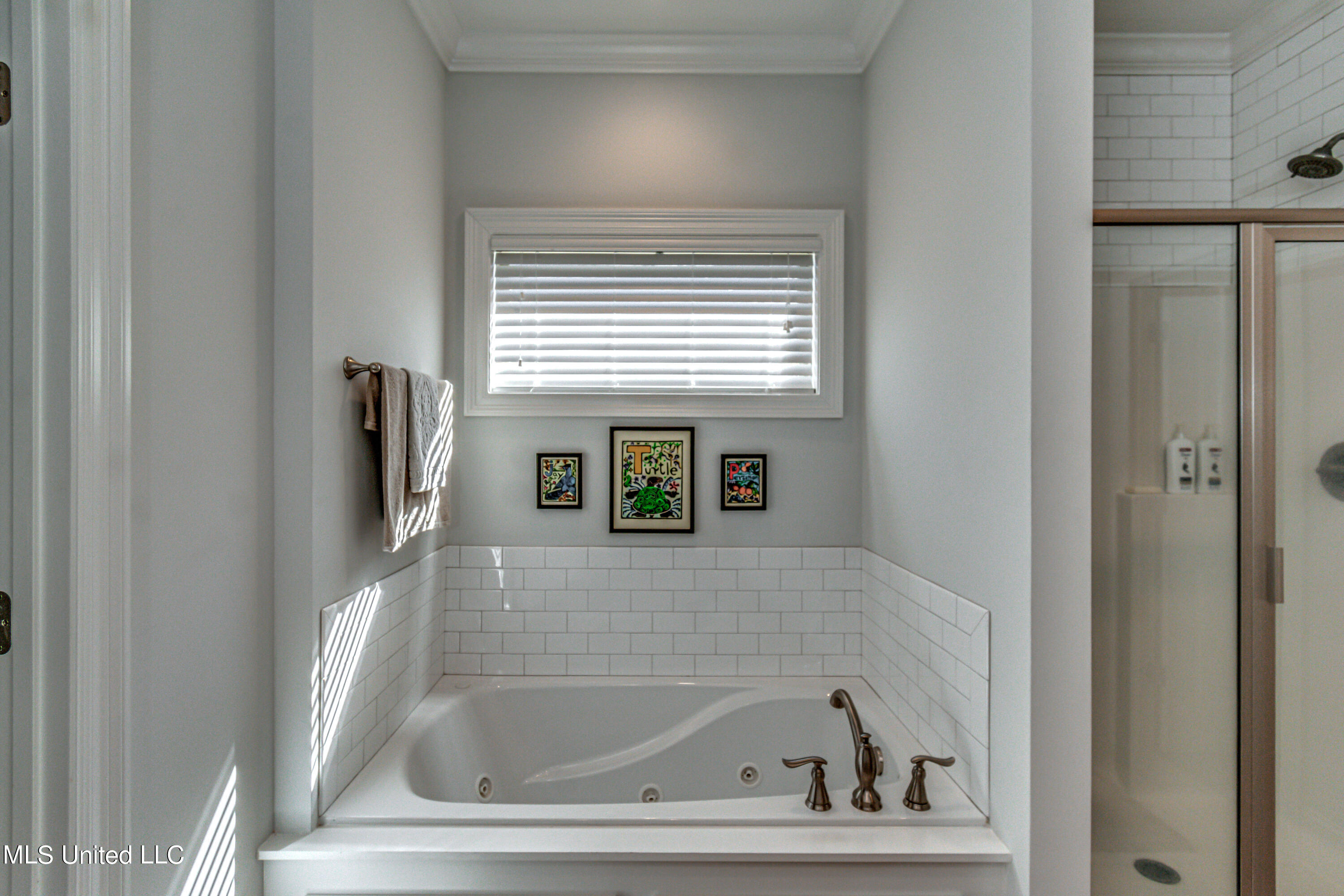 147 Hampton Ridge Madison, MS 39110 - Photo 33 of 54 25
