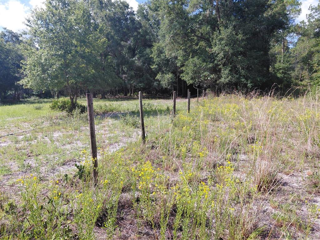 Pinon Drive Webster, FL 33597 - Photo 16 of 19