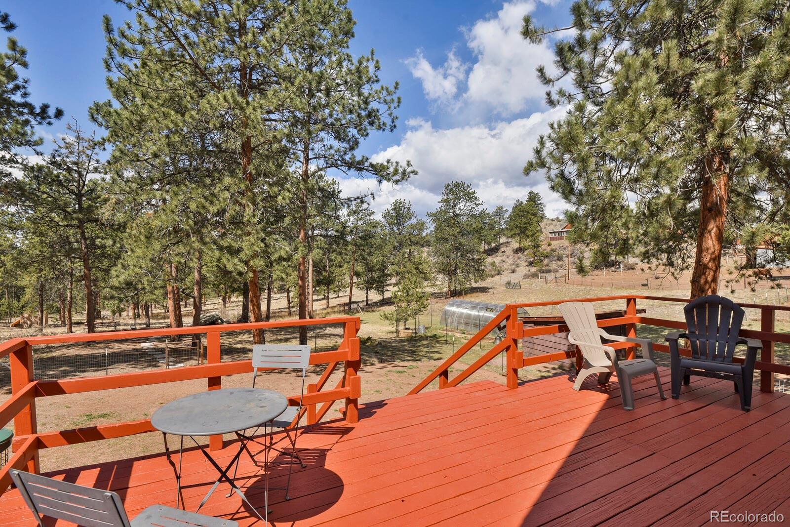 881 Trail Creek Road Lake George, CO 80827 - Photo 7 of 46