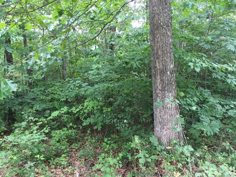 7 Laurel River Road Corbin, KY 40701 - Photo 6 of 6 Photo 6