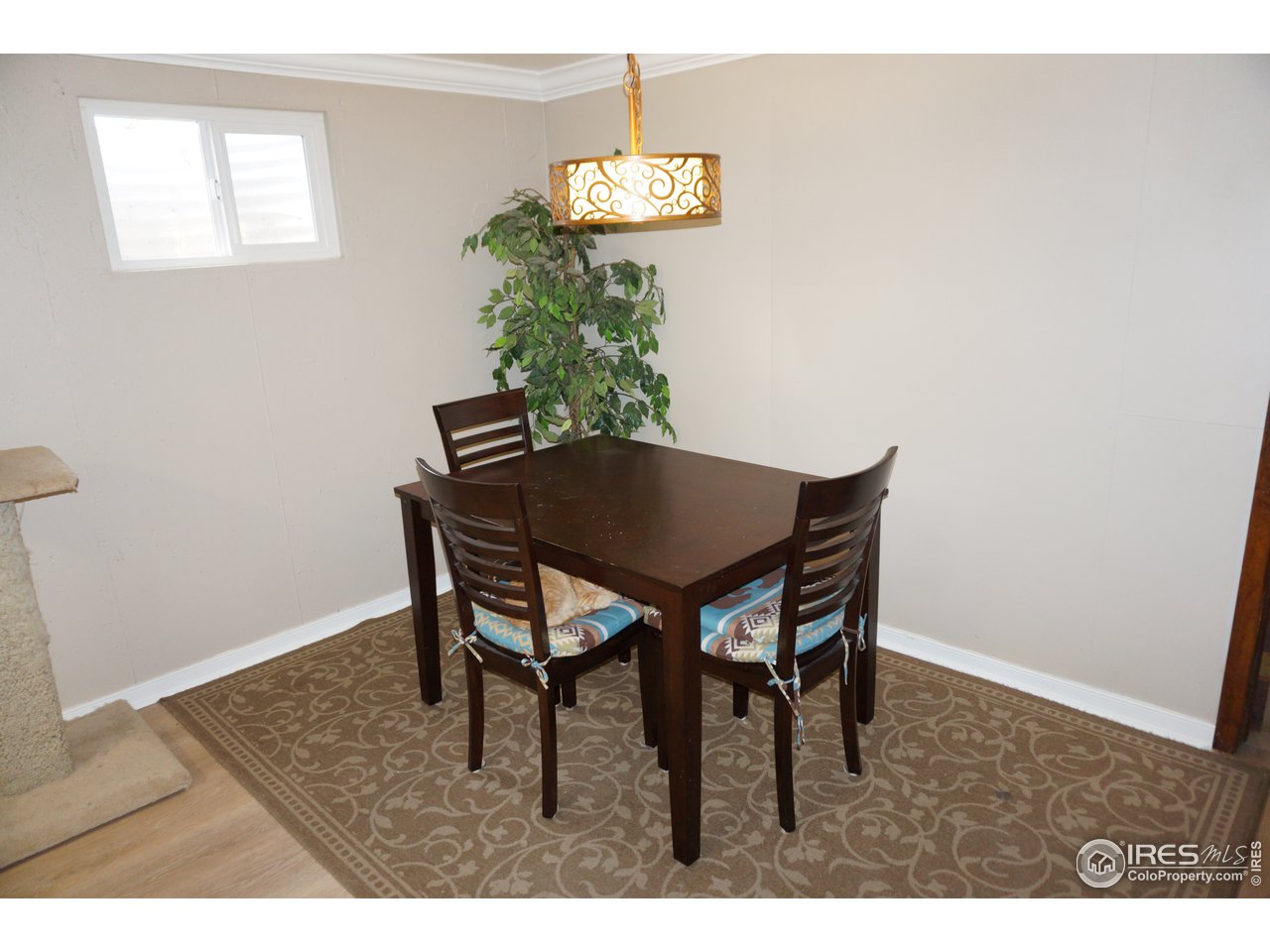 424 East Drake Road Fort Collins, CO 80525 - Photo 19 of 36 Basement Dining Area