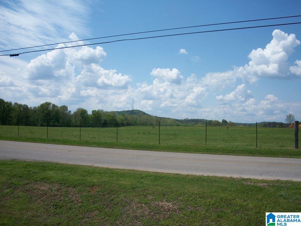 502 Robanna Circle Ohatchee, AL 36271 - Photo 40 of 44