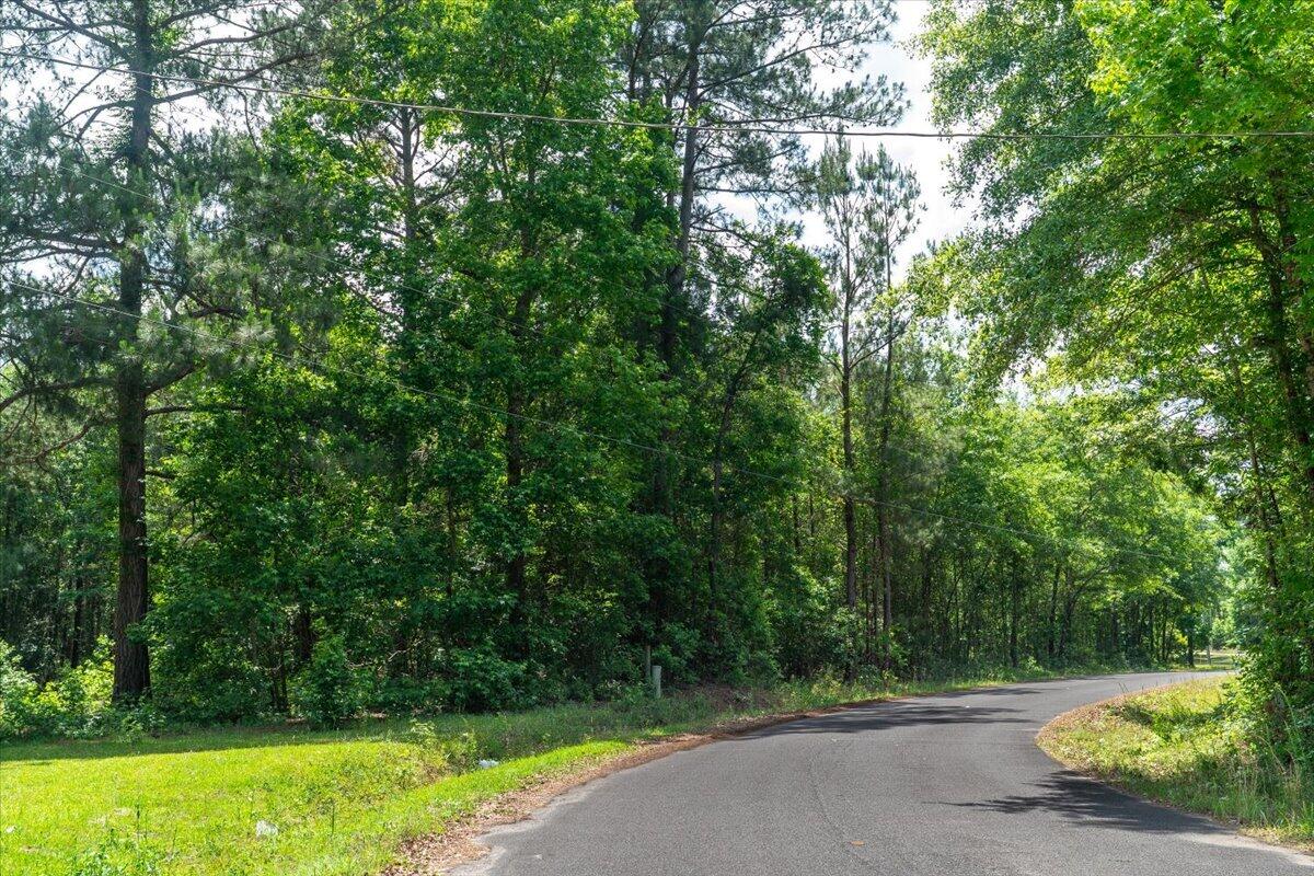 0 Deneaux Road Rowesville, SC 29133 - Photo 8 of 43 07-Deneaux-7