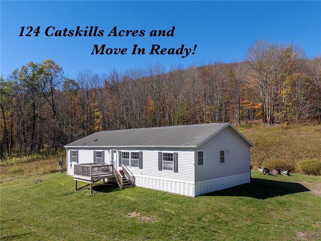 2685 Red Kill Road Roxbury, NY 12430 - Photo 1 of 42