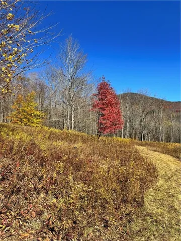 $650,000 | 2685 Red Kill Road, Roxbury, NY 12430