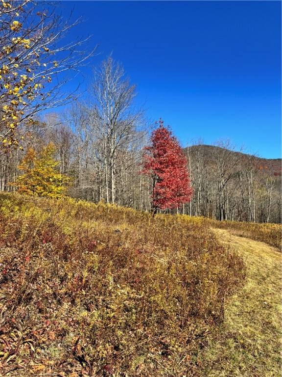 2685 Red Kill Road Roxbury, NY 12430 - Photo 11 of 42