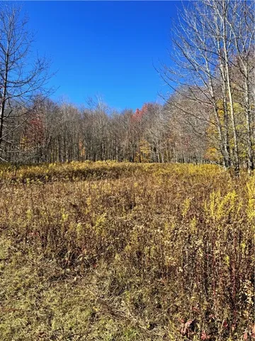 $650,000 | 2685 Red Kill Road, Roxbury, NY 12430