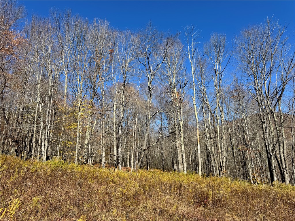 2685 Red Kill Road Roxbury, NY 12430 - Photo 13 of 42