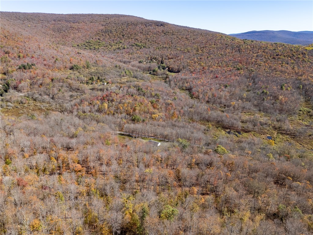 2685 Red Kill Road Roxbury, NY 12430 - Photo 34 of 42