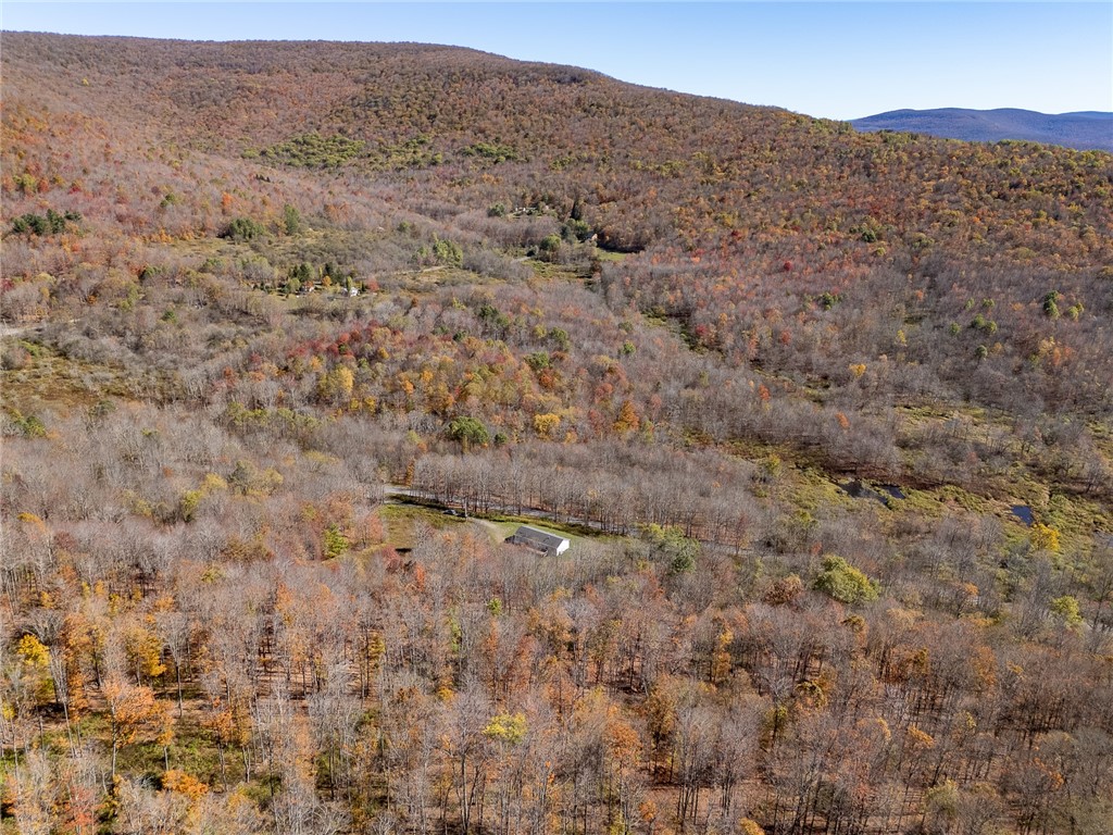 2685 Red Kill Road Roxbury, NY 12430 - Photo 35 of 42