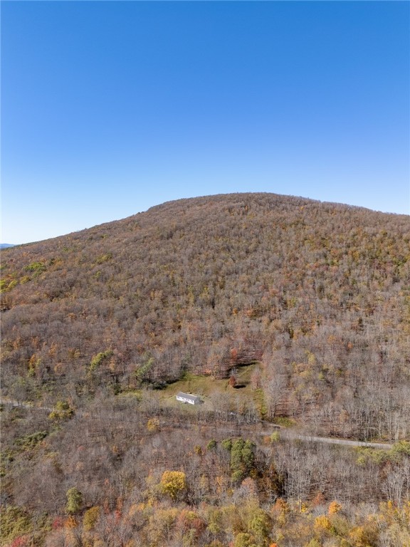 2685 Red Kill Road Roxbury, NY 12430 - Photo 38 of 42